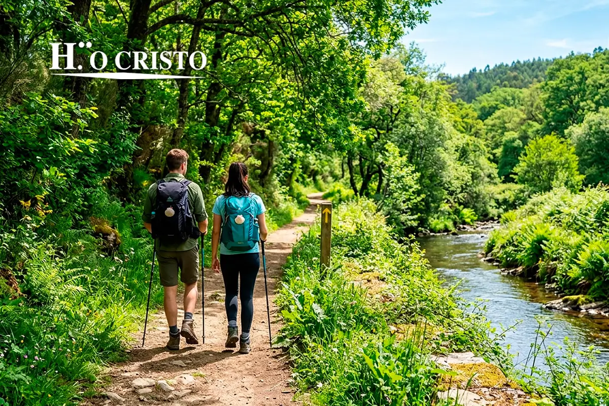 Primavera en el Camino de Santiago por Vilalba